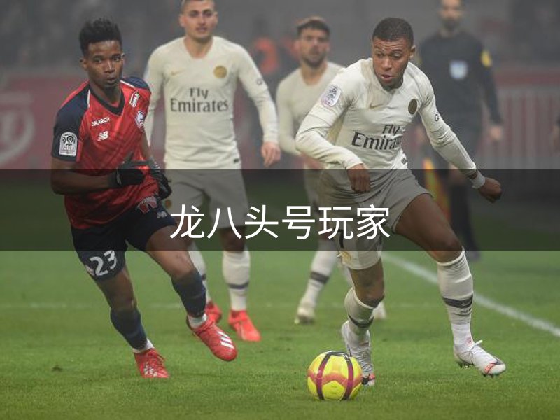 走进龙八头号玩家